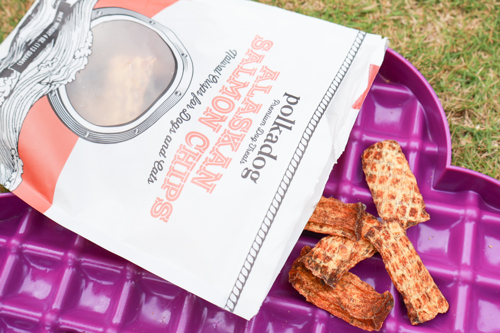 Polkadog搖擺船長美國手工寵物零食｜嚴選美國波士頓漁人碼頭、農場在地食材、手工製作、哈達克鱈魚皮、手工捲鱈魚皮、香蕉花生蛋糕趣