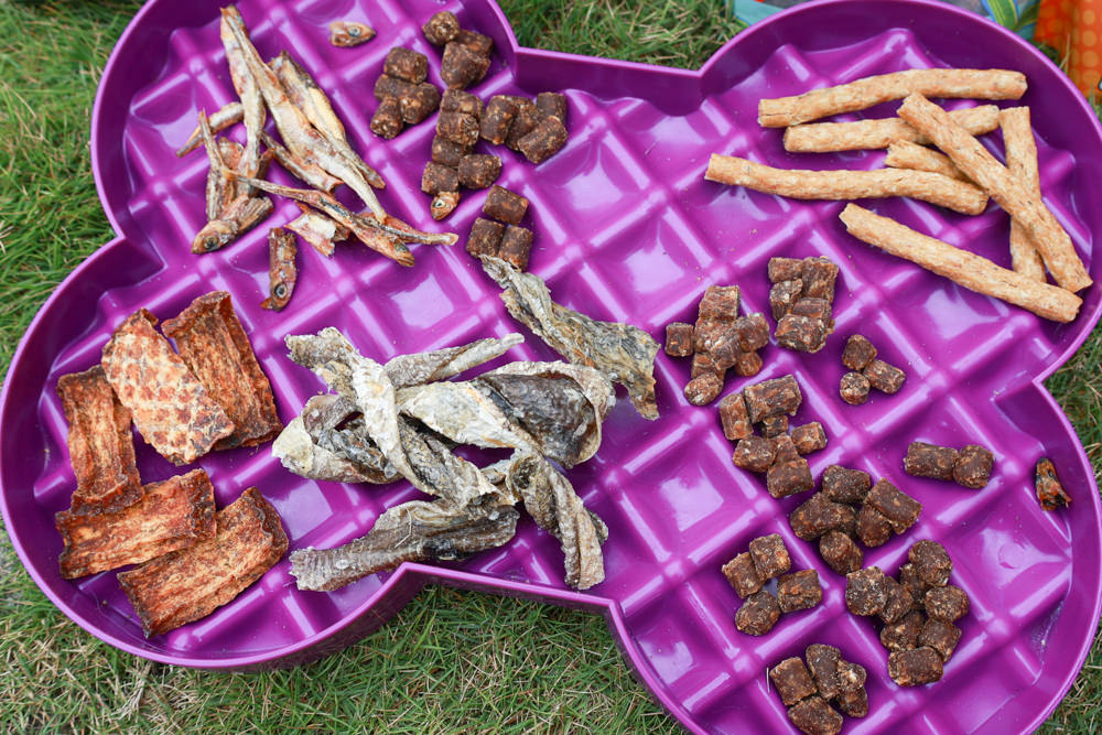 Polkadog搖擺船長美國手工寵物零食｜嚴選美國波士頓漁人碼頭、農場在地食材、手工製作、哈達克鱈魚皮、手工捲鱈魚皮、香蕉花生蛋糕趣