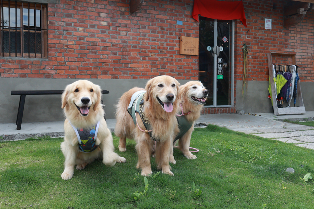 來初鍋物 | 宜蘭火鍋推薦。宜蘭寵物友善餐廳、百年古宅中大啖來初豆乳鍋、川麻豆乳鍋 - 第35張圖 來初鍋物 | 宜蘭火鍋推薦。宜蘭寵物友善餐廳、百年古宅中大啖來初豆乳鍋、川麻豆乳鍋