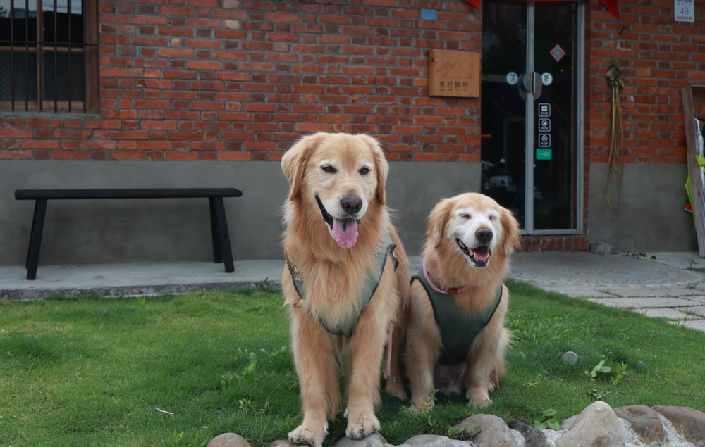 來初鍋物 | 宜蘭火鍋推薦。宜蘭寵物友善餐廳、百年古宅中大啖來初豆乳鍋、川麻豆乳鍋 - 第2張圖 來初鍋物 | 宜蘭火鍋推薦。宜蘭寵物友善餐廳、百年古宅中大啖來初豆乳鍋、川麻豆乳鍋