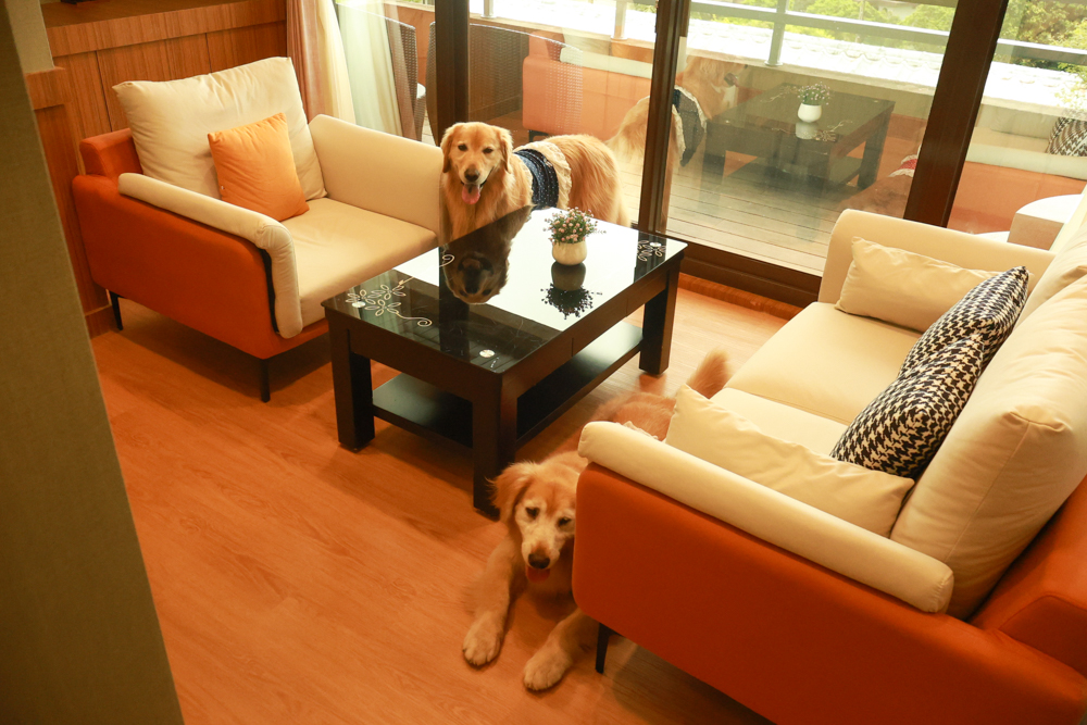 陽明山家新休閒會館｜豪華海景房型、半露天海景泡湯風呂、寵物友善旅宿、金山北海岸住宿推薦