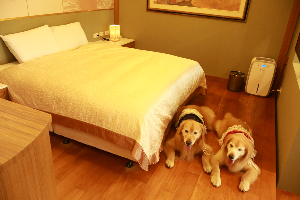 陽明山家新休閒會館｜豪華海景房型、半露天海景泡湯風呂、寵物友善旅宿、金山北海岸住宿推薦