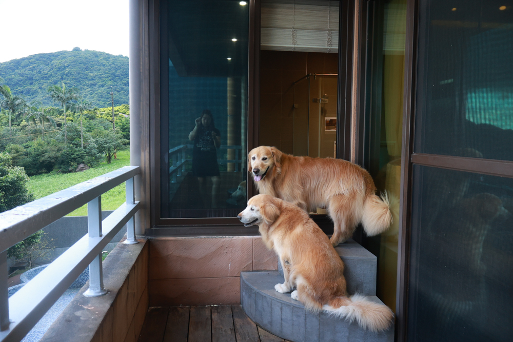 陽明山家新休閒會館｜豪華海景房型、半露天海景泡湯風呂、寵物友善旅宿、金山北海岸住宿推薦