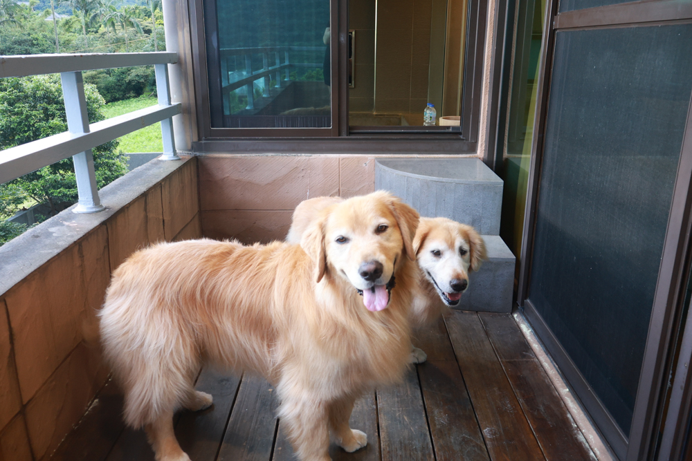 陽明山家新休閒會館｜豪華海景房型、半露天海景泡湯風呂、寵物友善旅宿、金山北海岸住宿推薦