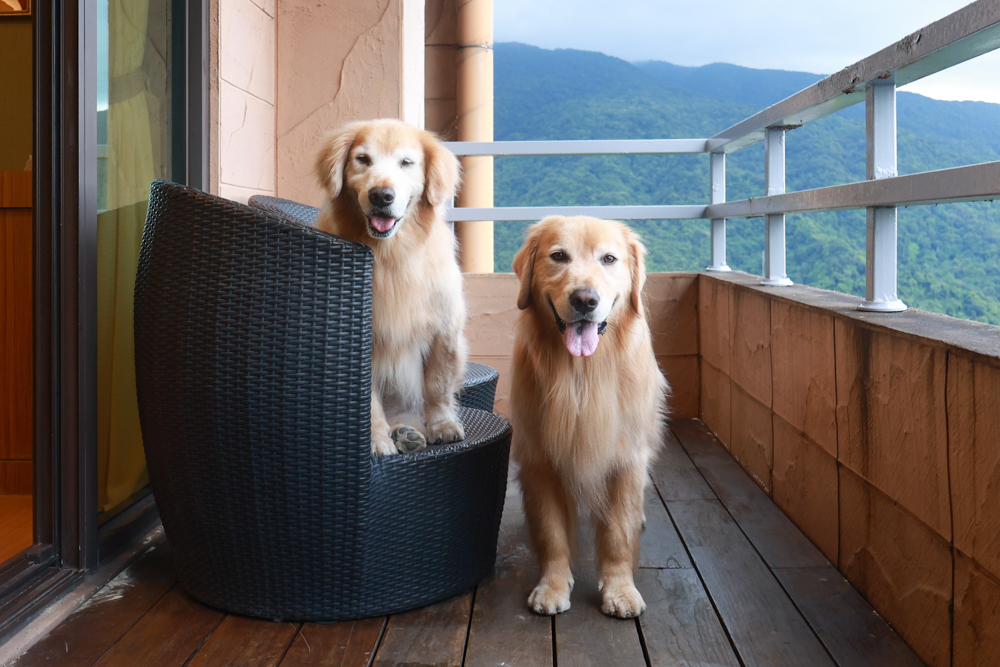 陽明山家新休閒會館｜豪華海景房型、半露天海景泡湯風呂、寵物友善旅宿、金山北海岸住宿推薦