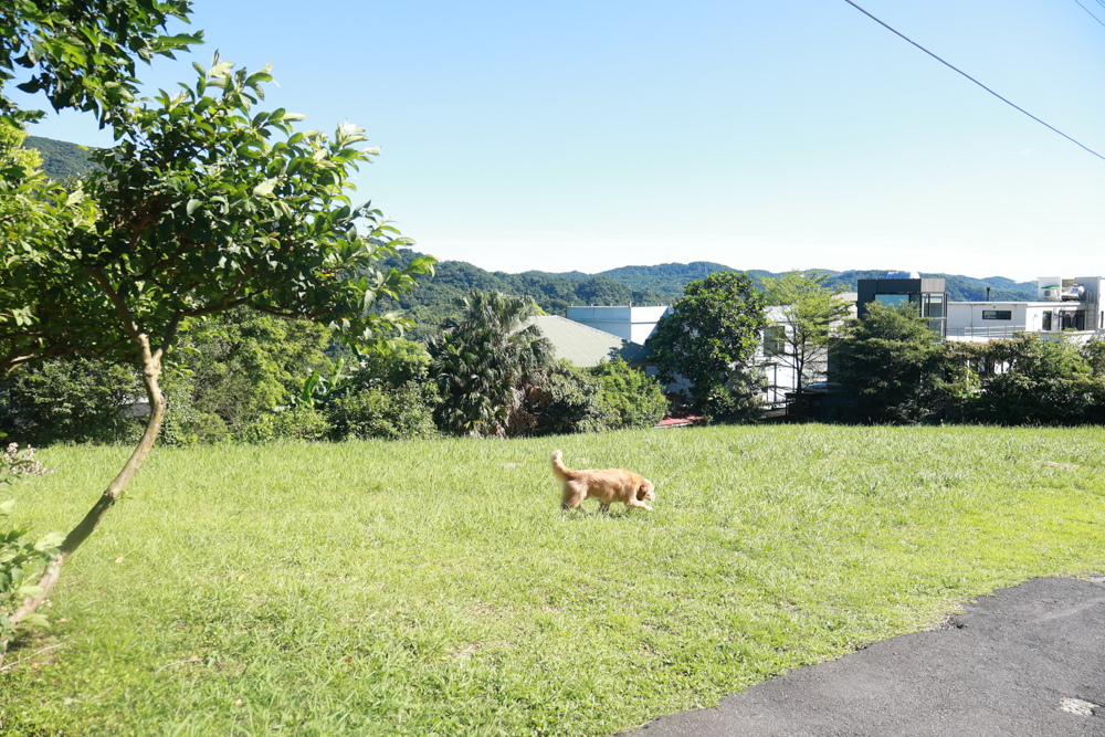 陽明山家新休閒會館｜豪華海景房型、半露天海景泡湯風呂、寵物友善旅宿、金山北海岸住宿推薦