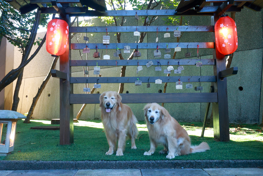 陽明山家新休閒會館｜豪華海景房型、半露天海景泡湯風呂、寵物友善旅宿、金山北海岸住宿推薦