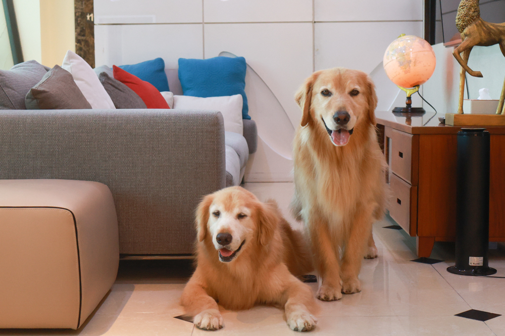 陽明山家新休閒會館｜豪華海景房型、半露天海景泡湯風呂、寵物友善旅宿、金山北海岸住宿推薦