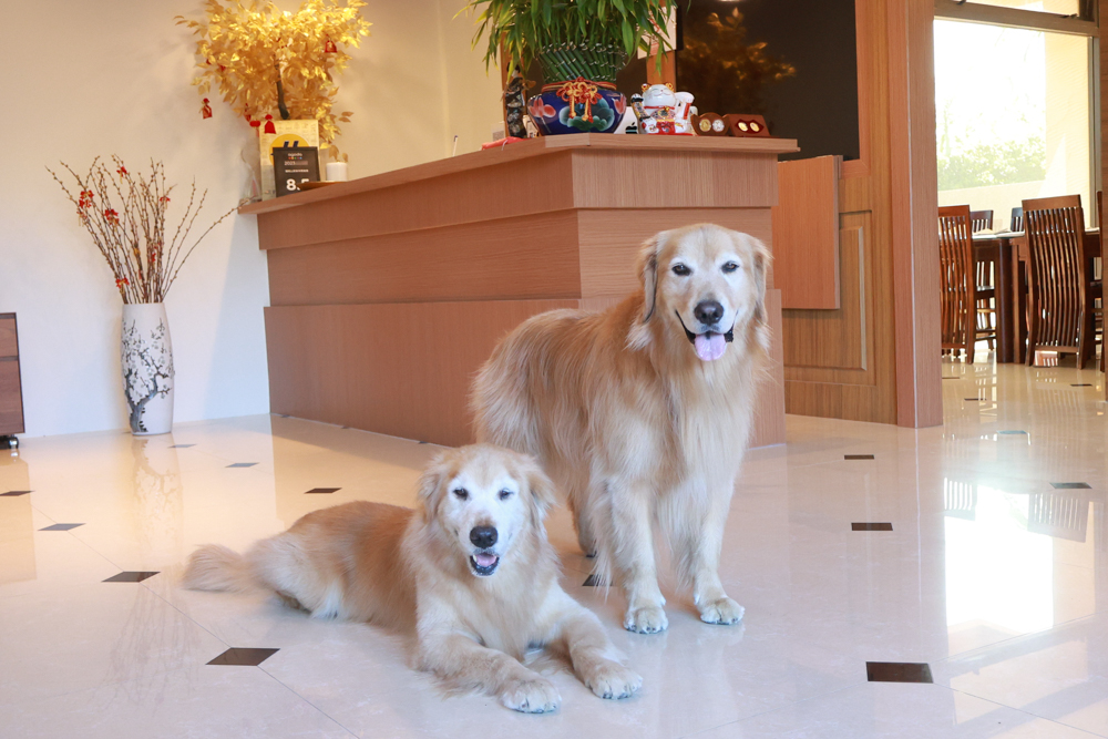 陽明山家新休閒會館｜豪華海景房型、半露天海景泡湯風呂、寵物友善旅宿、金山北海岸住宿推薦