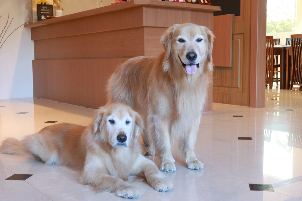 陽明山家新休閒會館｜豪華海景房型、半露天海景泡湯風呂、寵物友善旅宿、金山北海岸住宿推薦