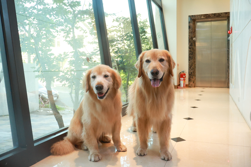 陽明山家新休閒會館｜豪華海景房型、半露天海景泡湯風呂、寵物友善旅宿、金山北海岸住宿推薦