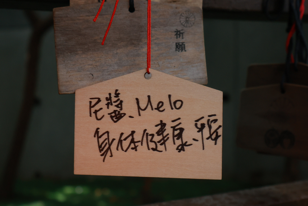 陽明山家新休閒會館｜豪華海景房型、半露天海景泡湯風呂、寵物友善旅宿、金山北海岸住宿推薦