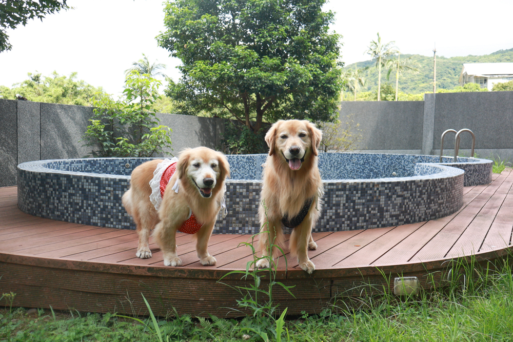 陽明山家新休閒會館｜豪華海景房型、半露天海景泡湯風呂、寵物友善旅宿、金山北海岸住宿推薦