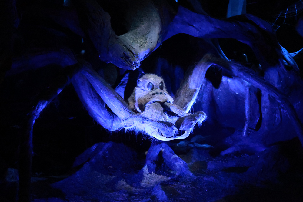 東京華納兄弟哈利波特影城全攻略｜東京波特影城門票、交通、設施場景、餐廳、法袍魔杖必買商品攻略