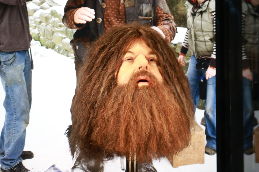 東京華納兄弟哈利波特影城全攻略｜東京波特影城門票、交通、設施場景、餐廳、法袍魔杖必買商品攻略