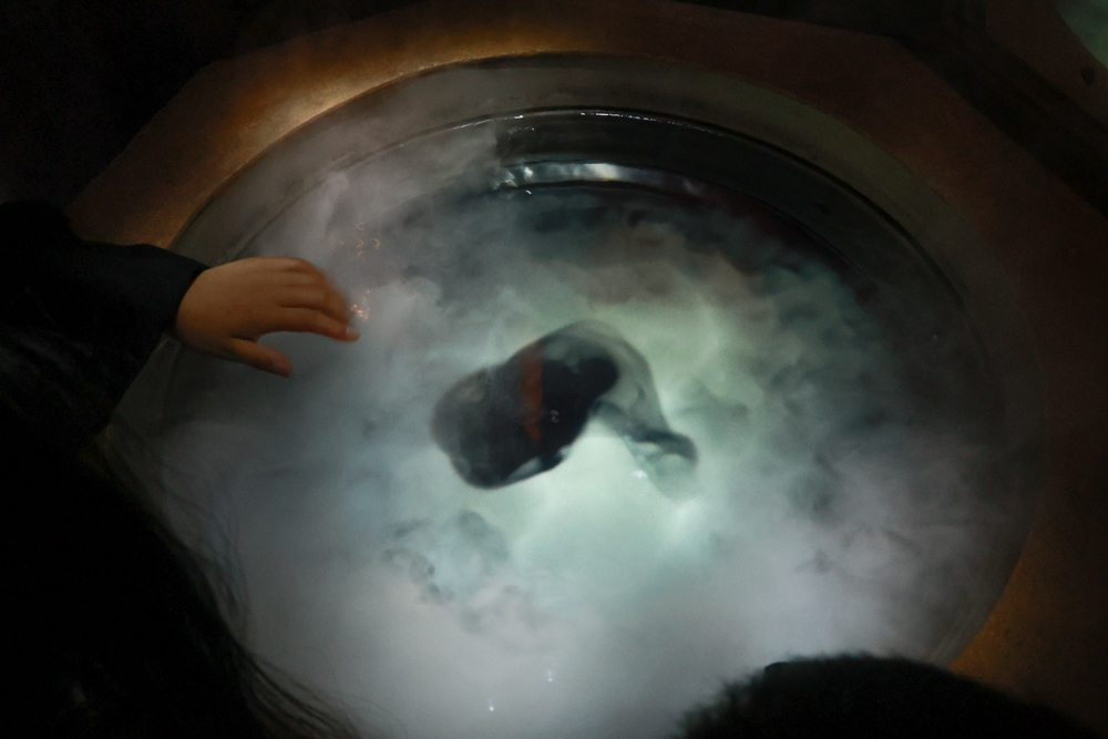 東京華納兄弟哈利波特影城全攻略｜東京波特影城門票、交通、設施場景、餐廳、法袍魔杖必買商品攻略