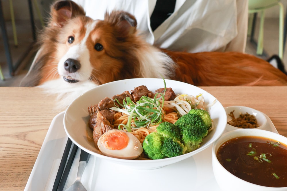 台北忠孝新生美食｜一碗來TaiwanMama。華山1914文化創意產業園區、寵物友善餐廳、家常乾拌麵