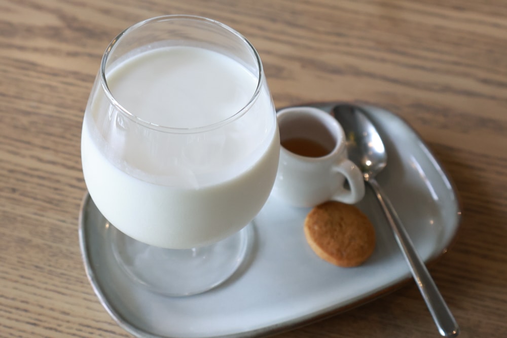 台北忠孝新生美食｜一碗來TaiwanMama。華山1914文化創意產業園區、寵物友善餐廳、家常乾拌麵