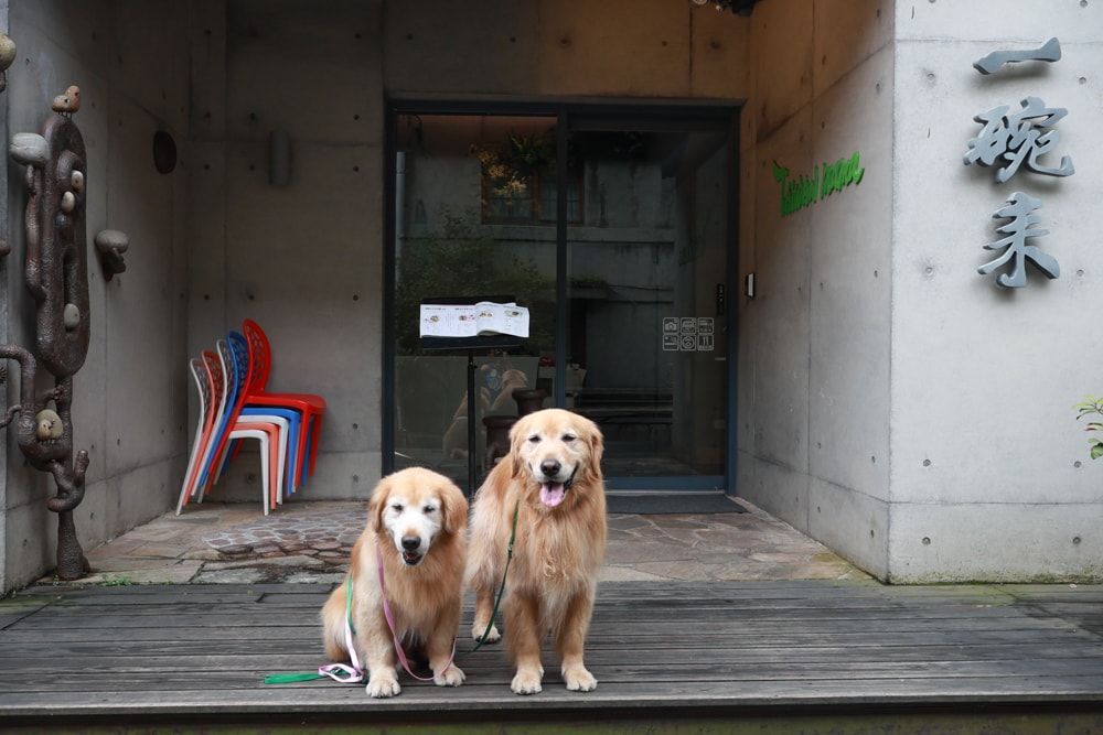 台北忠孝新生美食｜一碗來TaiwanMama。華山1914文化創意產業園區、寵物友善餐廳、家常乾拌麵