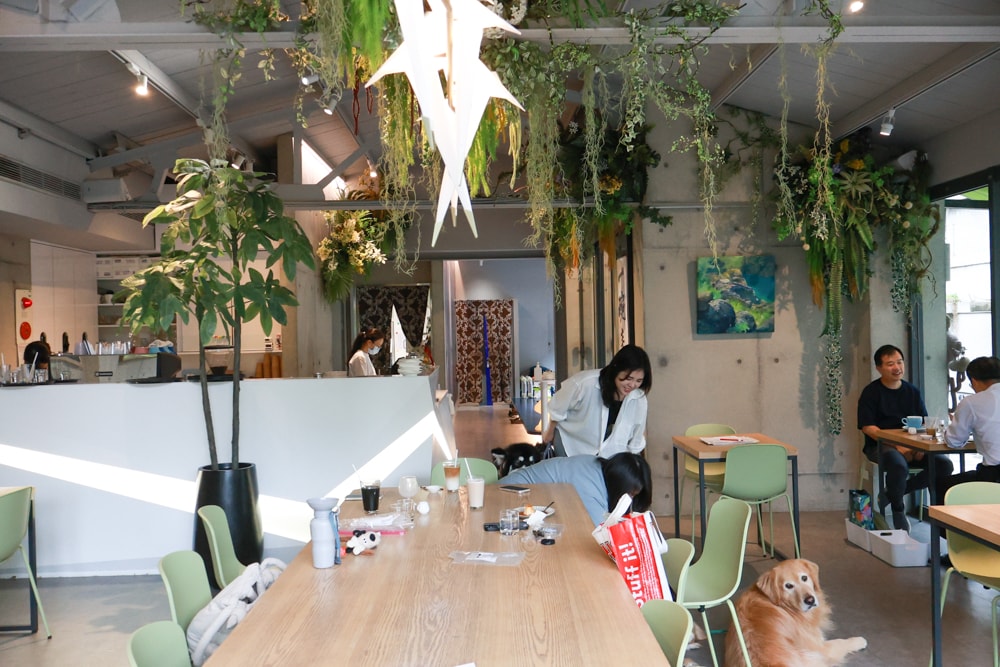 台北忠孝新生美食｜一碗來TaiwanMama。華山1914文化創意產業園區、寵物友善餐廳、家常乾拌麵