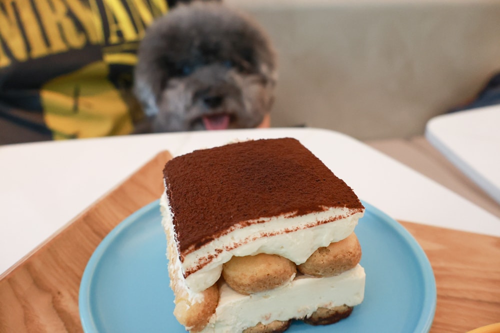 內湖美食｜Rx Taipei 咖啡廳。內湖寵物友善餐廳、內湖質感咖啡廳、Rx cafe、台北寵物友善餐聽