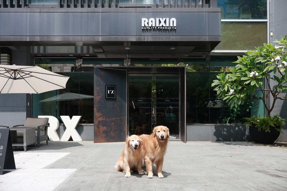 內湖美食｜Rx Taipei 咖啡廳。內湖寵物友善餐廳、內湖質感咖啡廳、Rx cafe、台北寵物友善餐聽
