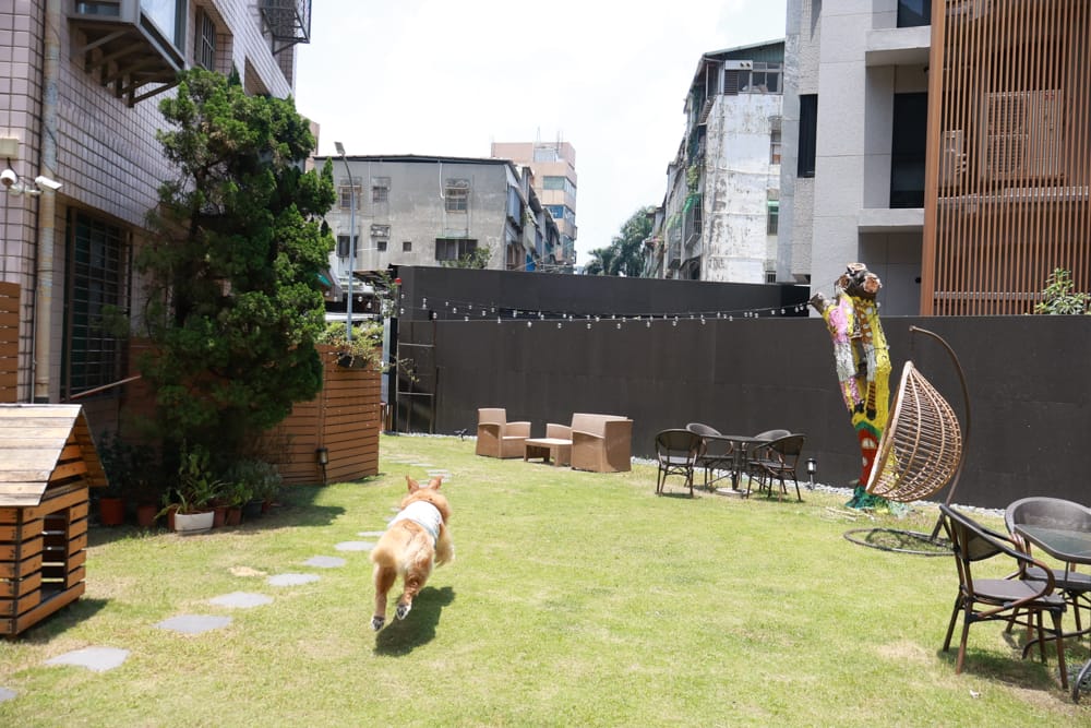 台北內湖美食｜其時Bistro小酒館。寵物友善餐廳、有圍籬綠意草皮、寵物鮮食餐點、日式和風餐點