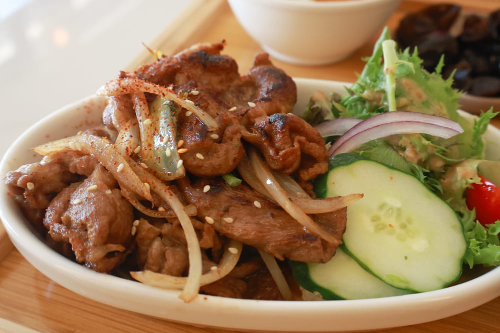 台北內湖美食｜其時Bistro小酒館。寵物友善餐廳、有圍籬綠意草皮、寵物鮮食餐點、日式和風餐點