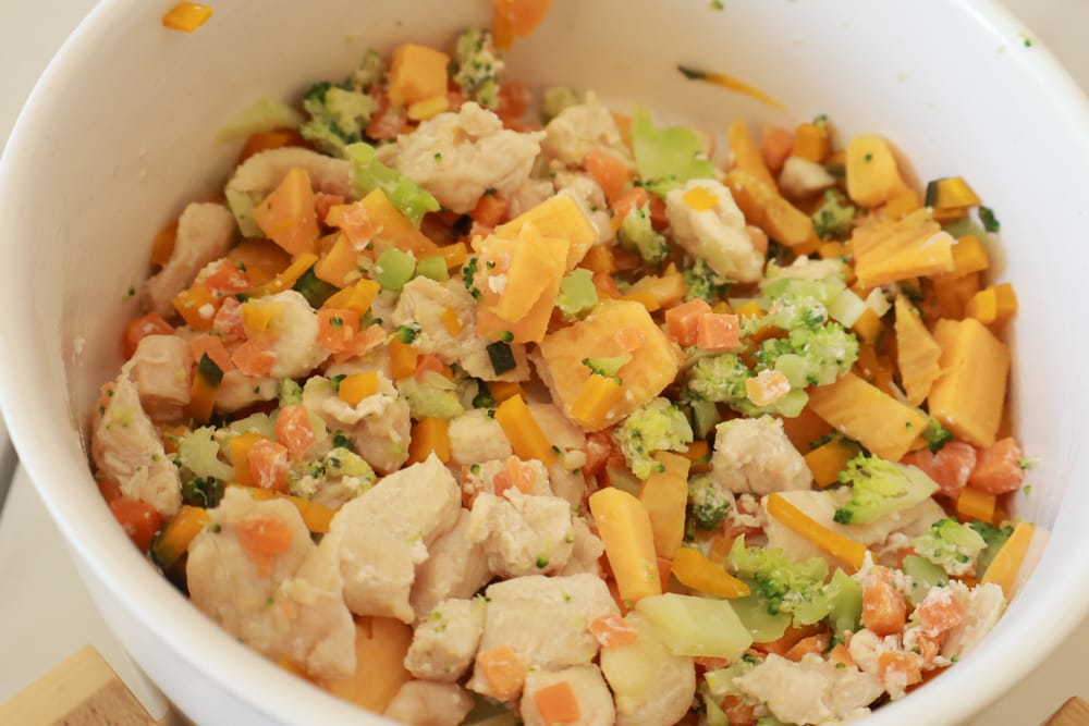 台北內湖美食｜其時Bistro小酒館。寵物友善餐廳、有圍籬綠意草皮、寵物鮮食餐點、日式和風餐點