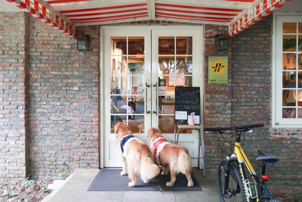 台北士林｜凱莉餐廳。陽明山美式餐廳、寵物友善餐廳、綠意大草皮、陽明山美軍宿舍餐廳、老媽炸雞超正點！！