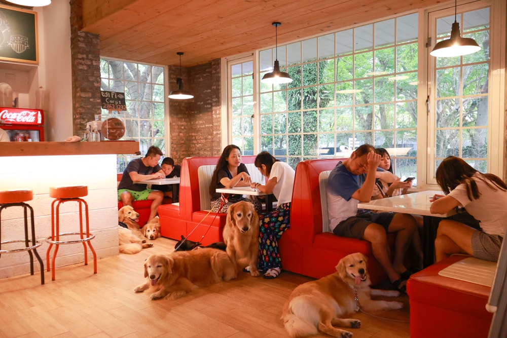 台北士林｜凱莉餐廳。陽明山美式餐廳、寵物友善餐廳、綠意大草皮、陽明山美軍宿舍餐廳、老媽炸雞超正點！！