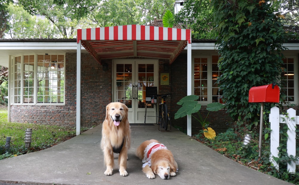 台北士林｜凱莉餐廳。陽明山美式餐廳、寵物友善餐廳、綠意大草皮、陽明山美軍宿舍餐廳、老媽炸雞超正點！！