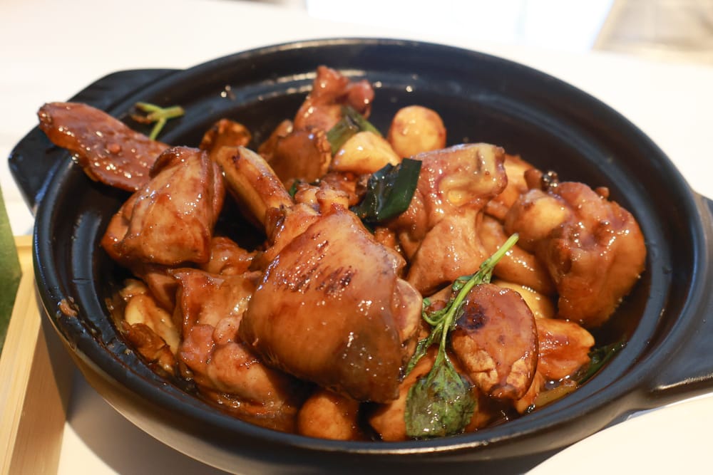 台北北投雅樂軒酒店 Aloft Taipei Beitou｜寵物友善主題房型、聚聚樂Nook 餐廳、W XYZ Bar酒吧、台北寵物友善旅宿