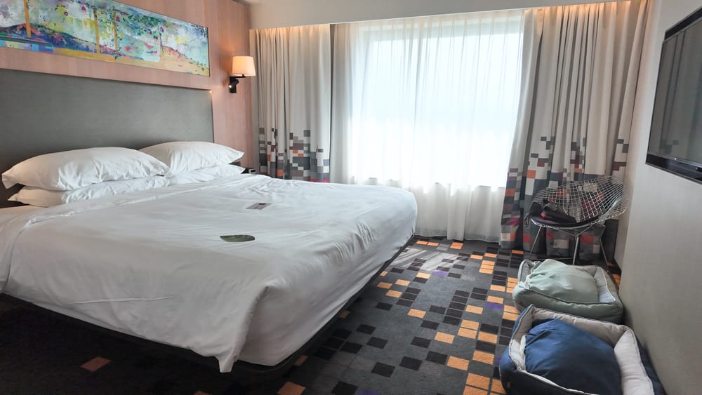 北投樂雅軒 寵物友善飯店推薦