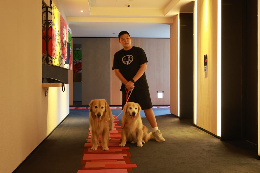 台北北投雅樂軒酒店 Aloft Taipei Beitou｜寵物友善主題房型、聚聚樂Nook 餐廳、W XYZ Bar酒吧、台北寵物友善旅宿