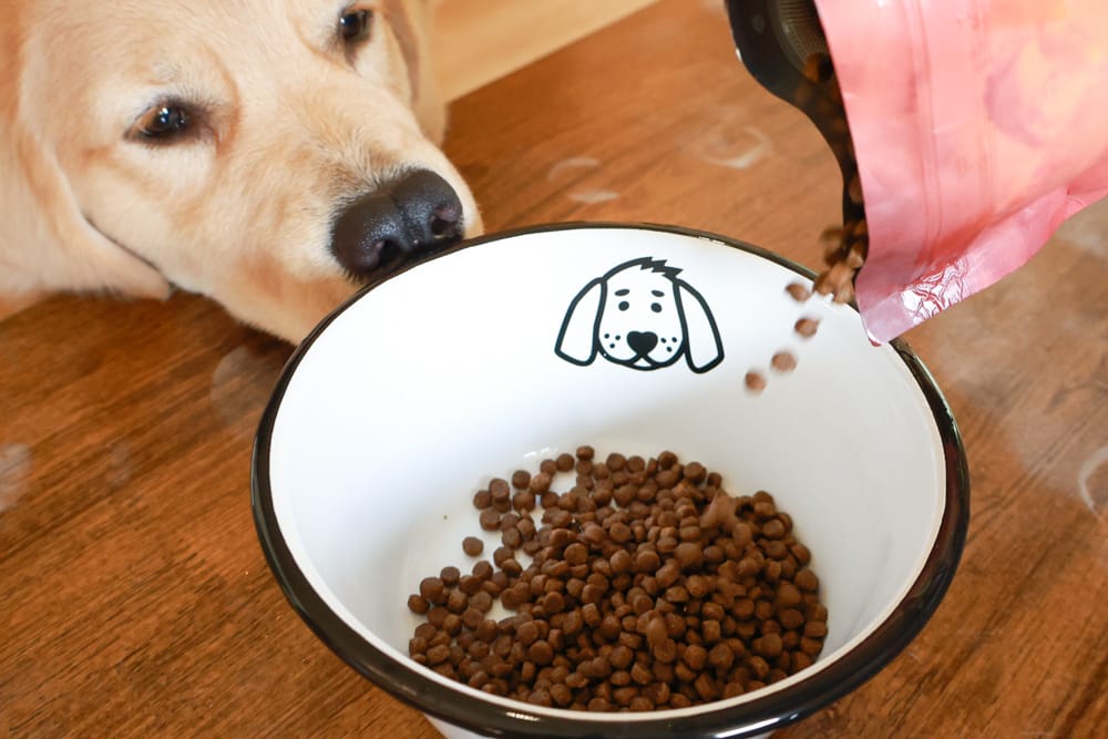 希臘安柏希雅Ambrosia無穀鮮肉犬糧、單一肉蛋白系列狗糧｜狗飼料、融合地中海健康飲食、添加橄欖油、多種超級食物