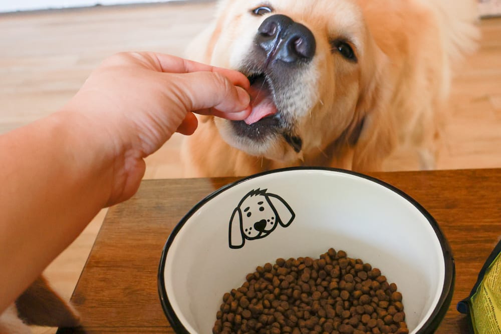 希臘安柏希雅Ambrosia無穀鮮肉犬糧、單一肉蛋白系列狗糧｜狗飼料、融合地中海健康飲食、添加橄欖油、多種超級食物