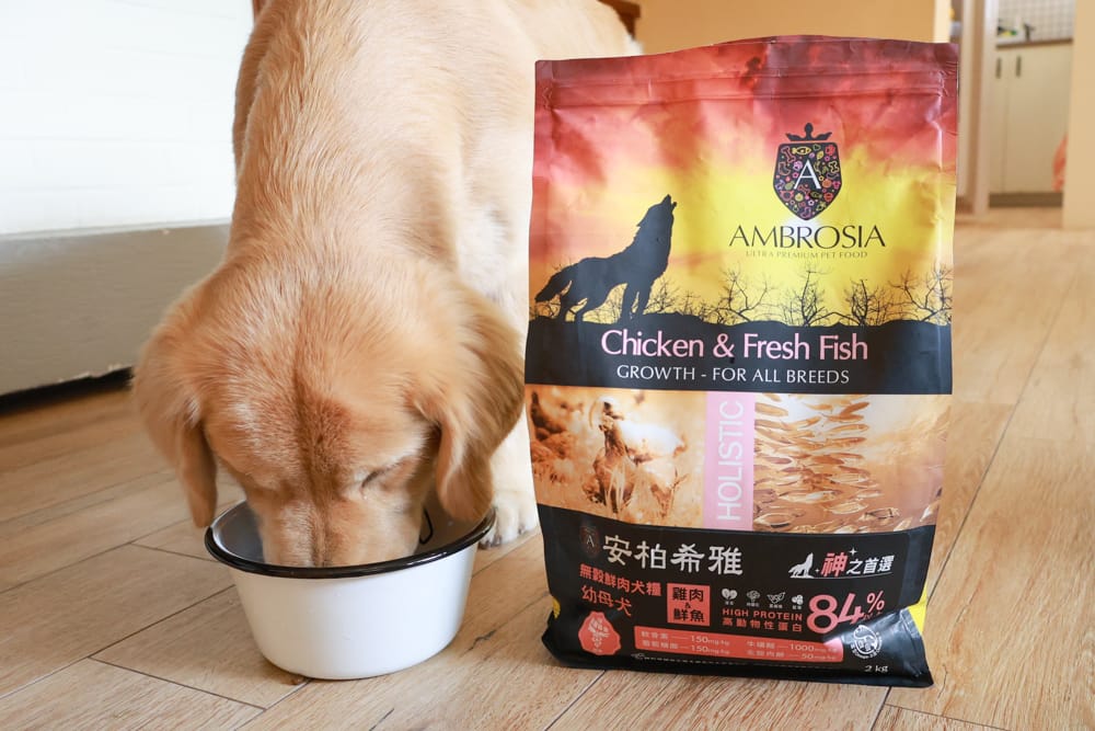 希臘安柏希雅Ambrosia無穀鮮肉犬糧、單一肉蛋白系列狗糧｜狗飼料、融合地中海健康飲食、添加橄欖油、多種超級食物
