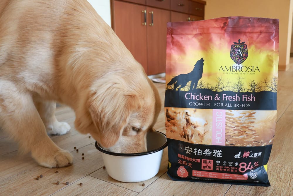希臘安柏希雅Ambrosia無穀鮮肉犬糧、單一肉蛋白系列狗糧｜狗飼料、融合地中海健康飲食、添加橄欖油、多種超級食物