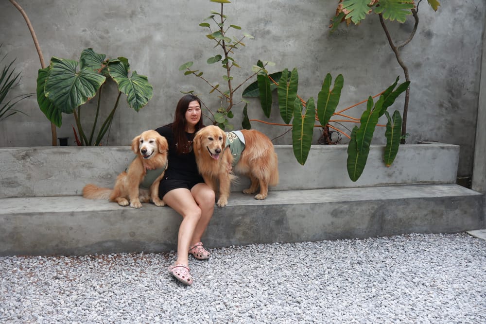 花蓮美食|山下陳涼。精緻泰式料理、峇里島風海景餐廳、庭院用餐區可以攜帶寵物、東南亞特色料理 - 第7張圖 花蓮美食|山下陳涼。精緻泰式料理、峇里島風海景餐廳、庭院用餐區可以攜帶寵物、東南亞特色料理