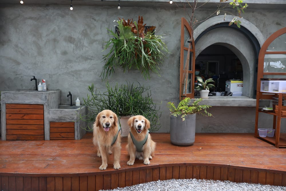 花蓮美食|山下陳涼。精緻泰式料理、峇里島風海景餐廳、庭院用餐區可以攜帶寵物、東南亞特色料理 - 第26張圖 花蓮美食|山下陳涼。精緻泰式料理、峇里島風海景餐廳、庭院用餐區可以攜帶寵物、東南亞特色料理
