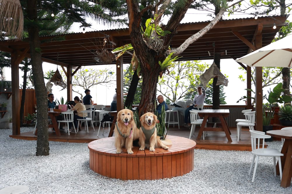 花蓮美食|山下陳涼。精緻泰式料理、峇里島風海景餐廳、庭院用餐區可以攜帶寵物、東南亞特色料理 - 第6張圖 花蓮美食|山下陳涼。精緻泰式料理、峇里島風海景餐廳、庭院用餐區可以攜帶寵物、東南亞特色料理