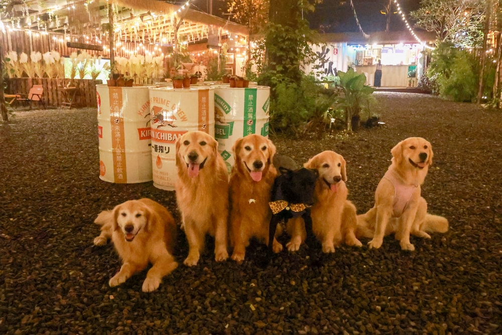 岸山 Anshan純木炭碳烤&生啤酒 Local BBQ & Beer。南投魚池日月潭美食、寵物友善餐廳、露營野餐風BBQ燒烤