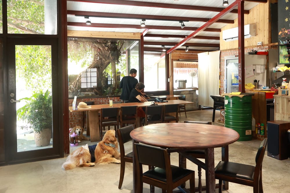 金山寬哥食不厭。新北寵物友善餐廳、北海岸美食、磺港漁村旁的懷舊紅磚老屋手路菜、經典貓飯、午魚一夜干專賣