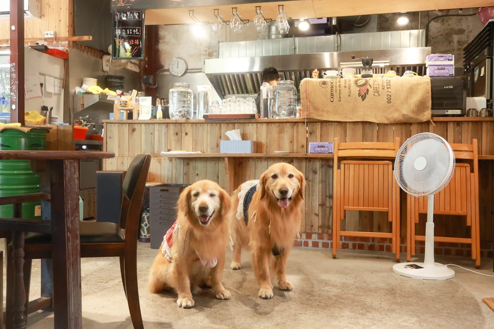 金山寬哥食不厭。新北寵物友善餐廳、北海岸美食、磺港漁村旁的懷舊紅磚老屋手路菜、經典貓飯、午魚一夜干專賣