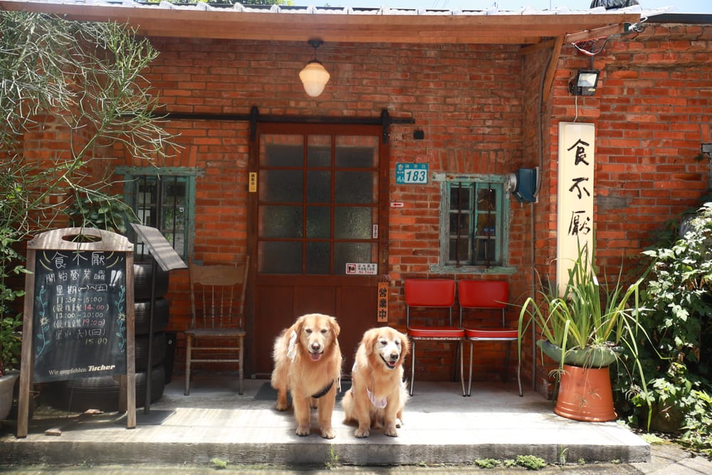 金山寬哥食不厭。新北寵物友善餐廳、北海岸美食、磺港漁村旁的懷舊紅磚老屋手路菜、經典貓飯、午魚一夜干專賣