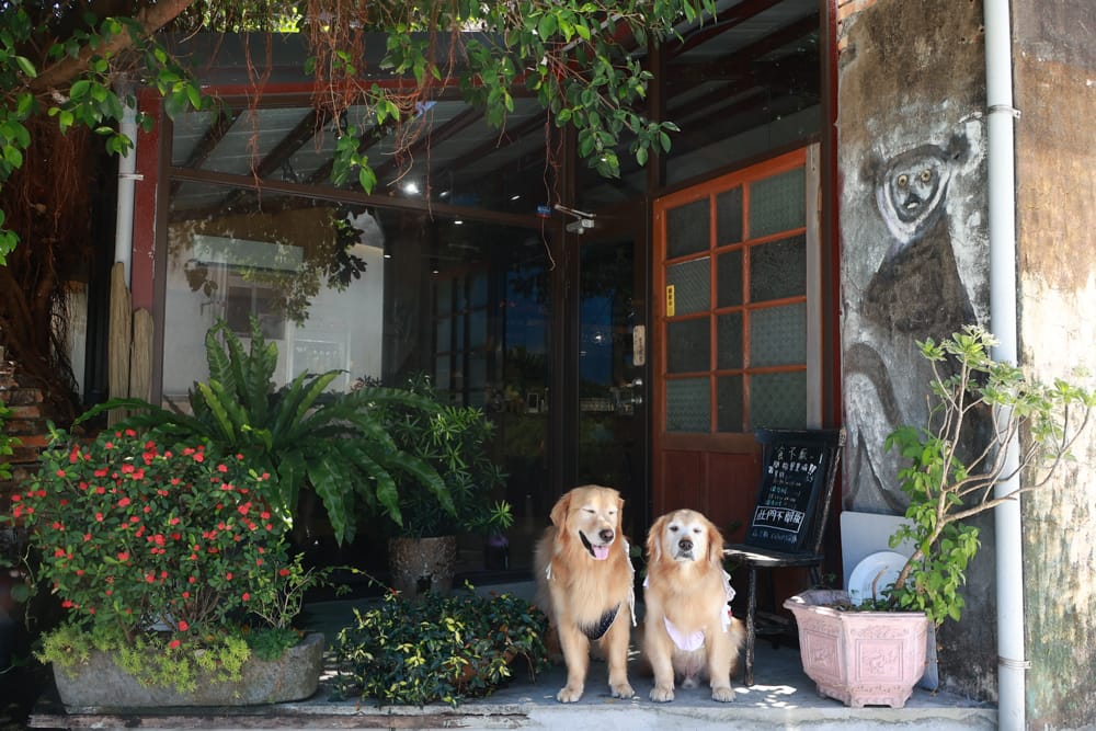 金山寬哥食不厭。新北寵物友善餐廳、北海岸美食、磺港漁村旁的懷舊紅磚老屋手路菜、經典貓飯、午魚一夜干專賣