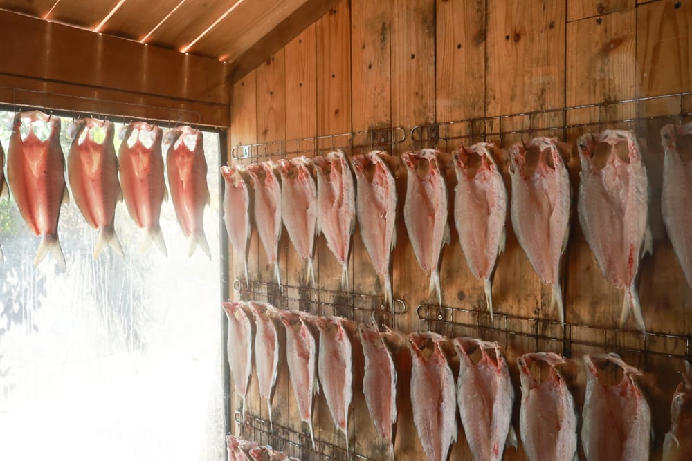 金山寬哥食不厭。新北寵物友善餐廳、北海岸美食、磺港漁村旁的懷舊紅磚老屋手路菜、經典貓飯、午魚一夜干專賣