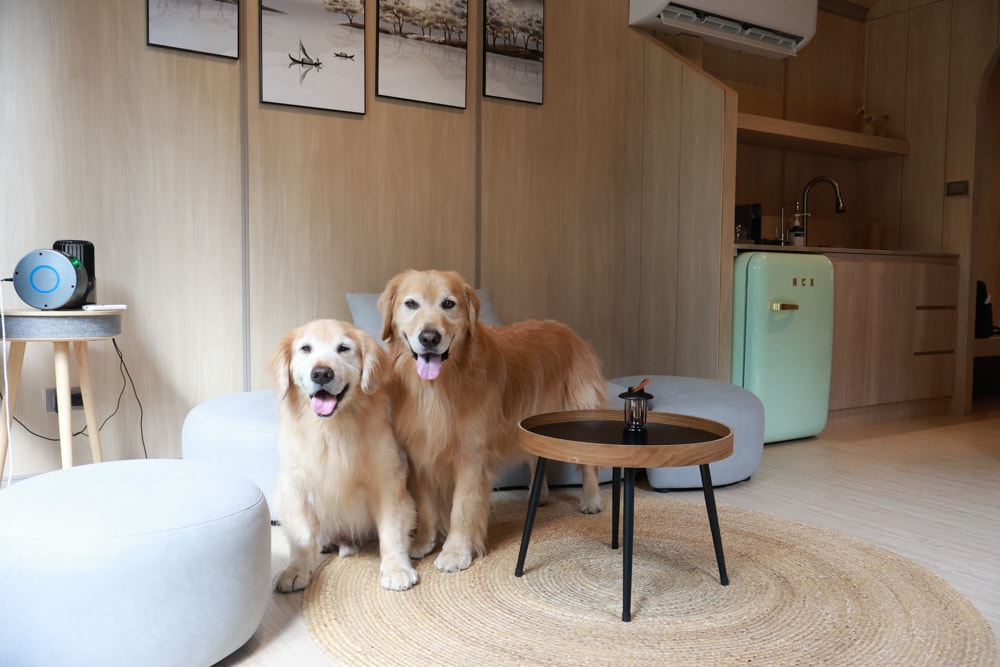 南投魚池｜3JD Home二館。日月潭絕美民宿森林villa、露營車、寵物友善民宿、一泊三食、露天風呂