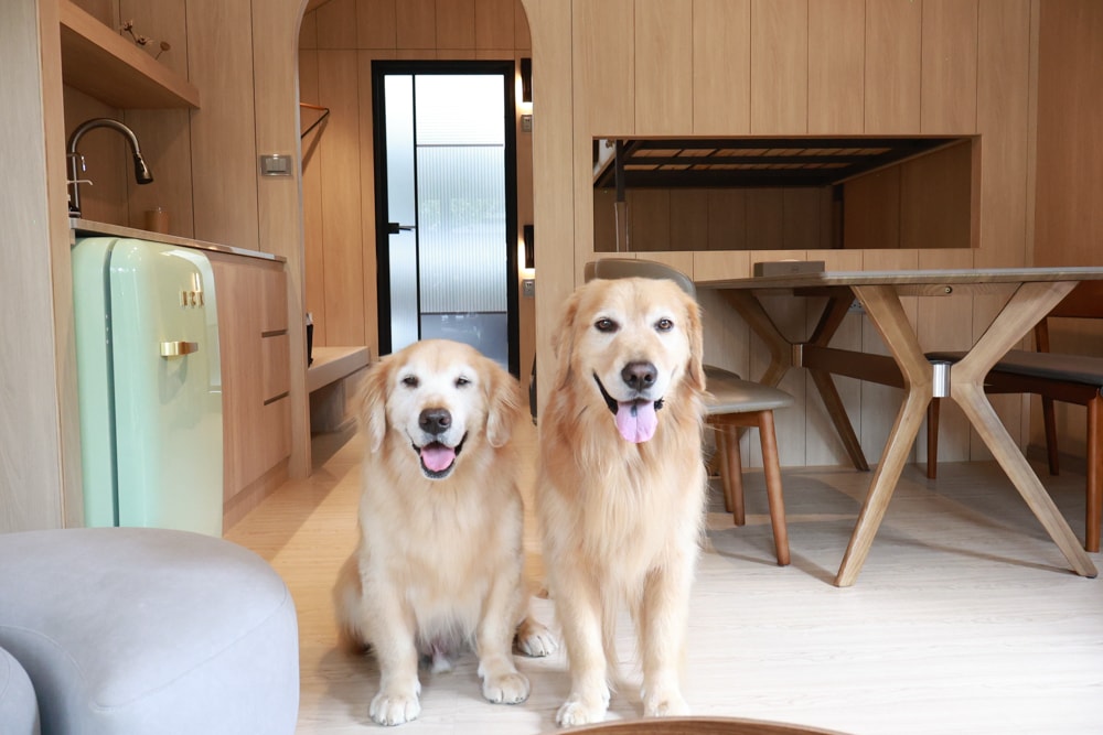 南投魚池｜3JD Home二館。日月潭絕美民宿森林villa、露營車、寵物友善民宿、一泊三食、露天風呂